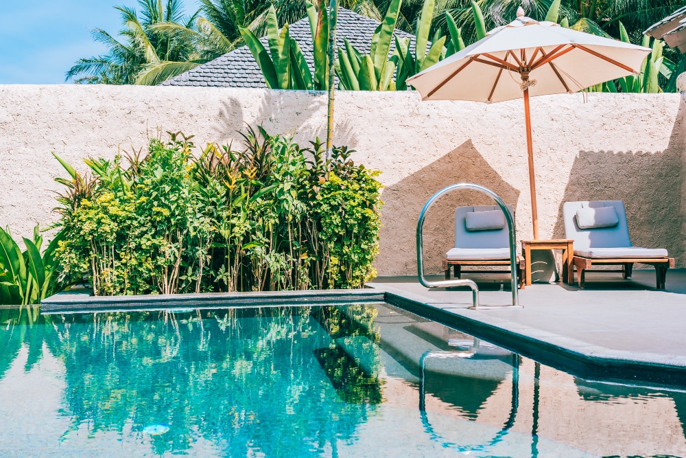 Plantes de piscine
