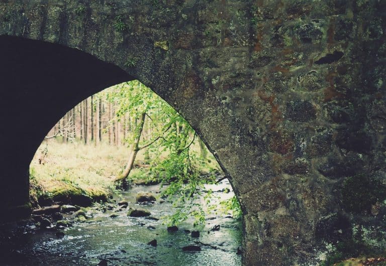 découvrez tout ce qu'il faut savoir sur le drainage : techniques, avantages et meilleures pratiques pour garantir un système efficace et durable. améliorez la gestion des eaux et protégez votre propriété des risques d'inondation.