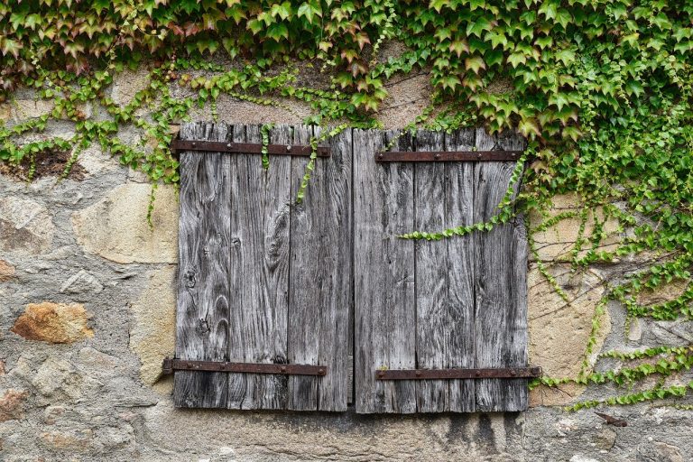 découvrez nos services de rénovation de façade pour redonner vie à vos bâtiments. améliorez l'esthétique et la durabilité de vos murs extérieurs avec notre expertise et des solutions sur mesure.