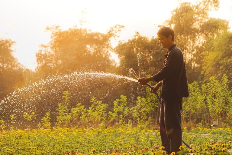découvrez l'art du jardinage durable : des conseils pratiques pour cultiver votre jardin tout en préservant l'environnement. apprenez à choisir des plantes écoresponsables, à utiliser des techniques de compostage et à favoriser la biodiversité pour un espace vert respectueux de la nature.
