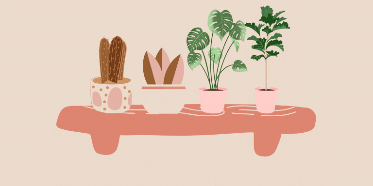 découvrez notre sélection de plantes d'intérieur pour embellir votre espace de vie. apportez une touche de verdure à votre maison avec des conseils d'entretien et des variétés adaptées à chaque environnement.