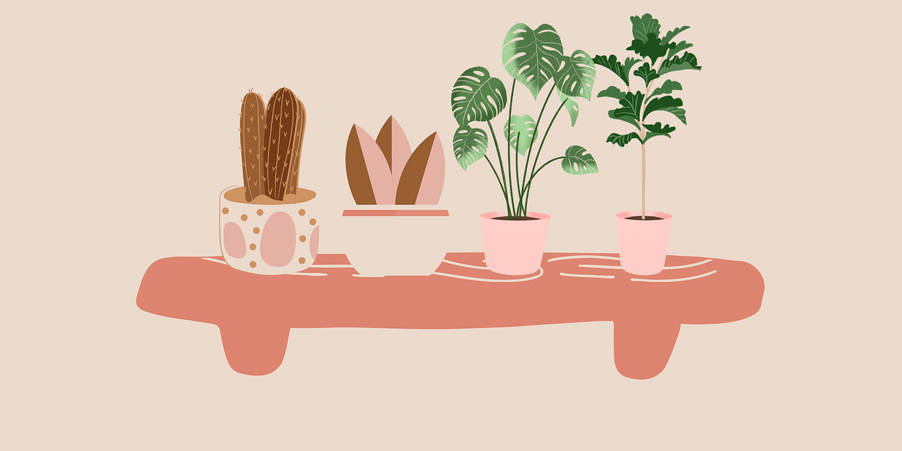 découvrez notre sélection de plantes d'intérieur pour embellir votre espace de vie. apportez une touche de verdure à votre maison avec des conseils d'entretien et des variétés adaptées à chaque environnement.
