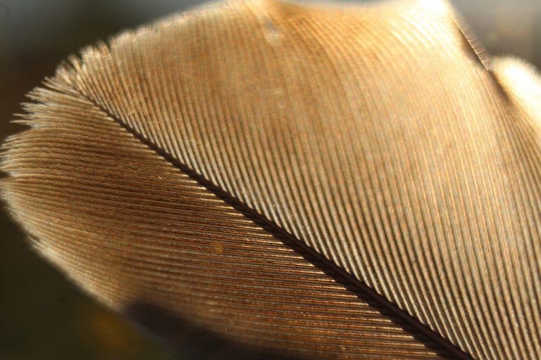 découvrez notre sélection d'objets décoratifs uniques qui apporteront une touche d'élégance et de personnalité à votre intérieur. explorez des pièces tendance pour sublimer chaque espace de votre maison.